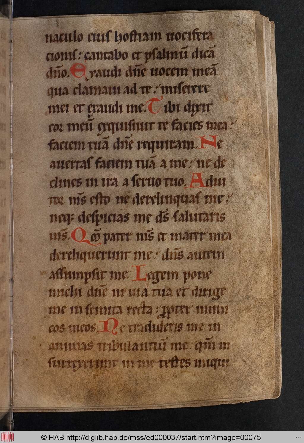 http://diglib.hab.de/mss/ed000037/00075.jpg