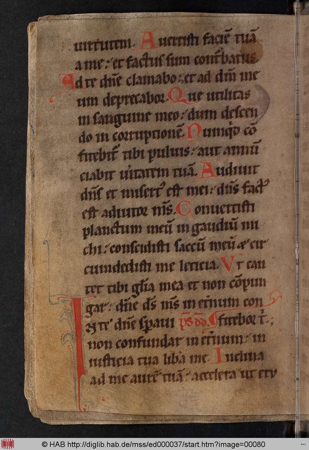 http://diglib.hab.de/mss/ed000037/00080.jpg