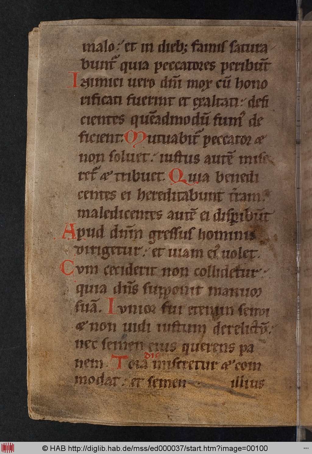 http://diglib.hab.de/mss/ed000037/00100.jpg