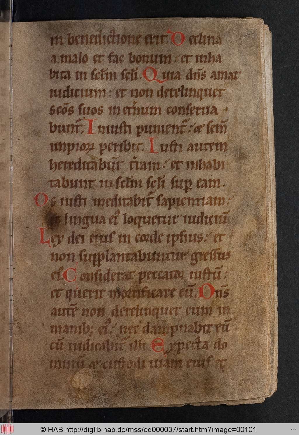 http://diglib.hab.de/mss/ed000037/00101.jpg