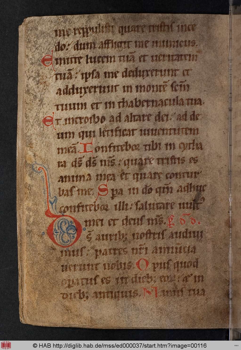 http://diglib.hab.de/mss/ed000037/00116.jpg