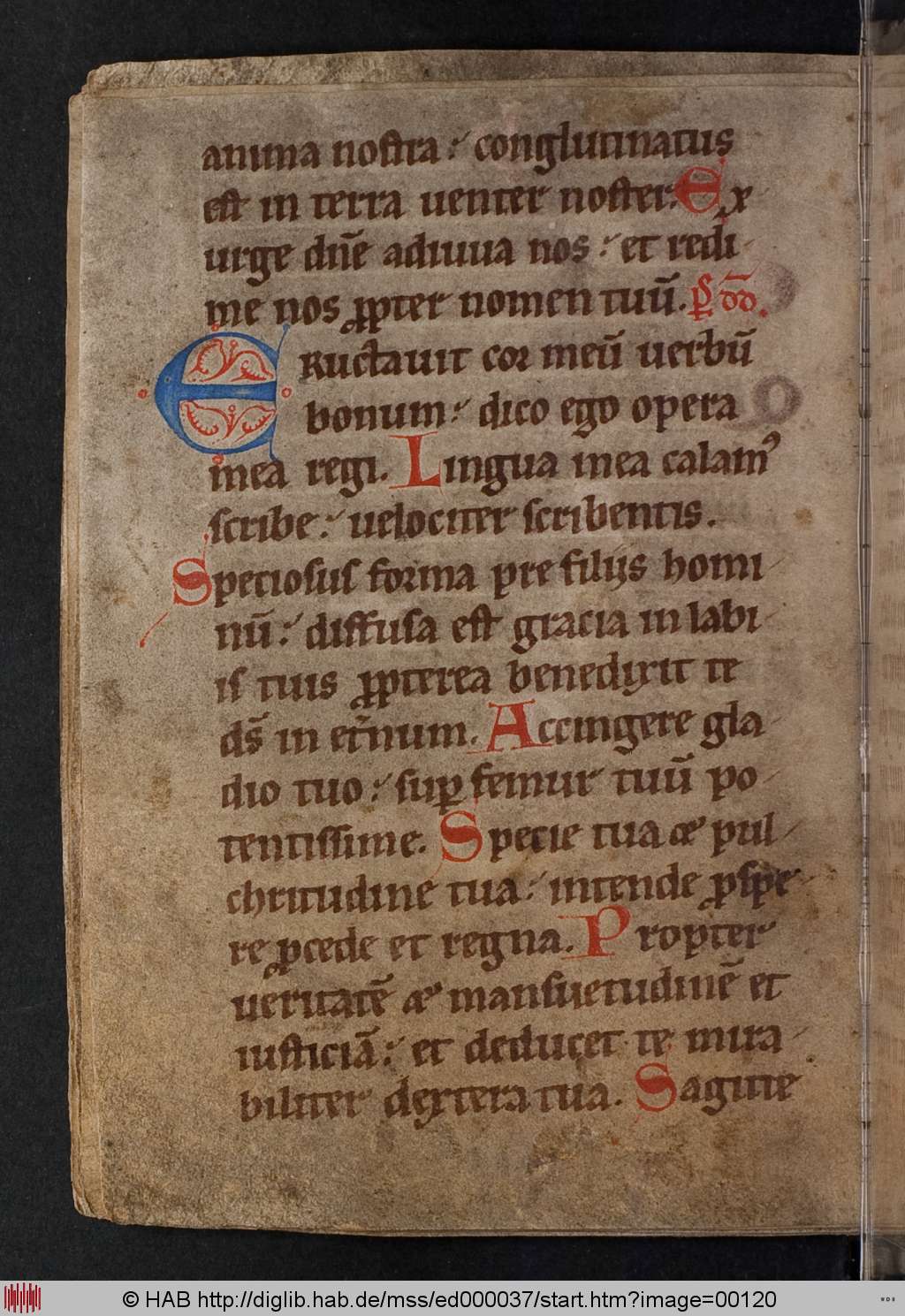 http://diglib.hab.de/mss/ed000037/00120.jpg