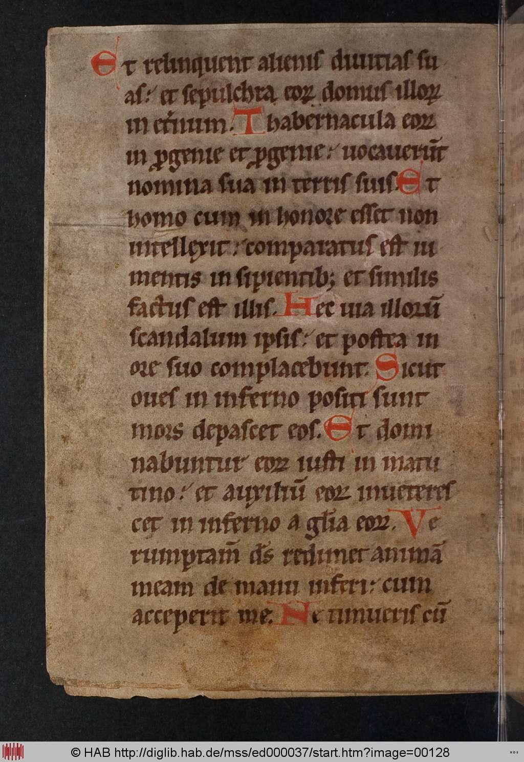 http://diglib.hab.de/mss/ed000037/00128.jpg