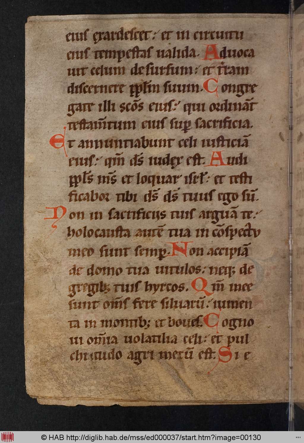 http://diglib.hab.de/mss/ed000037/00130.jpg