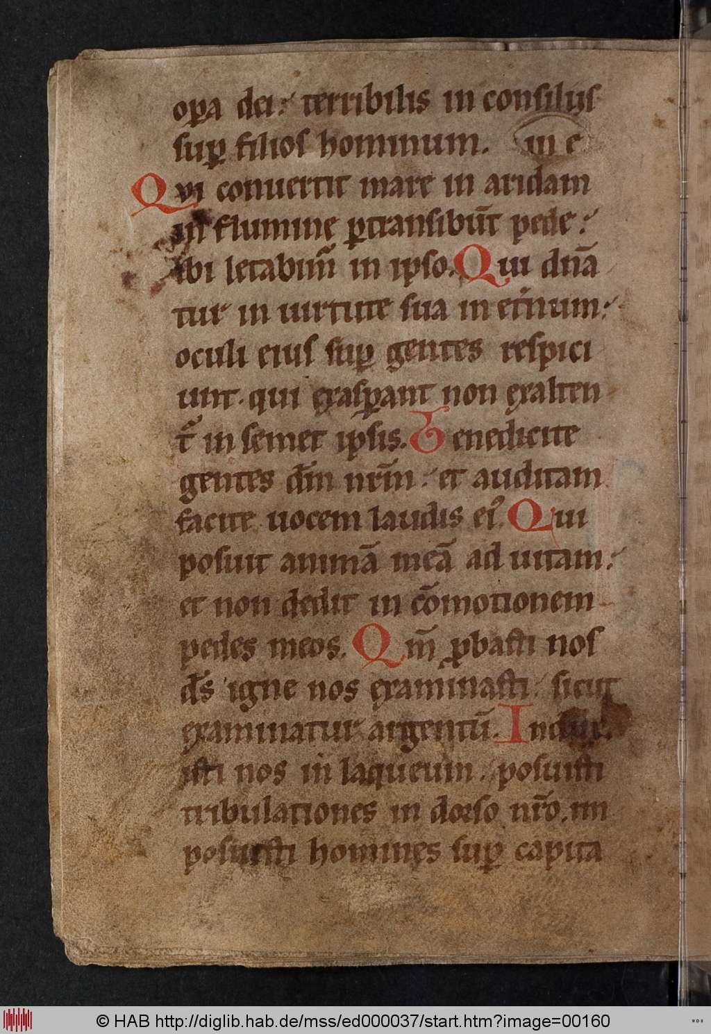 http://diglib.hab.de/mss/ed000037/00160.jpg