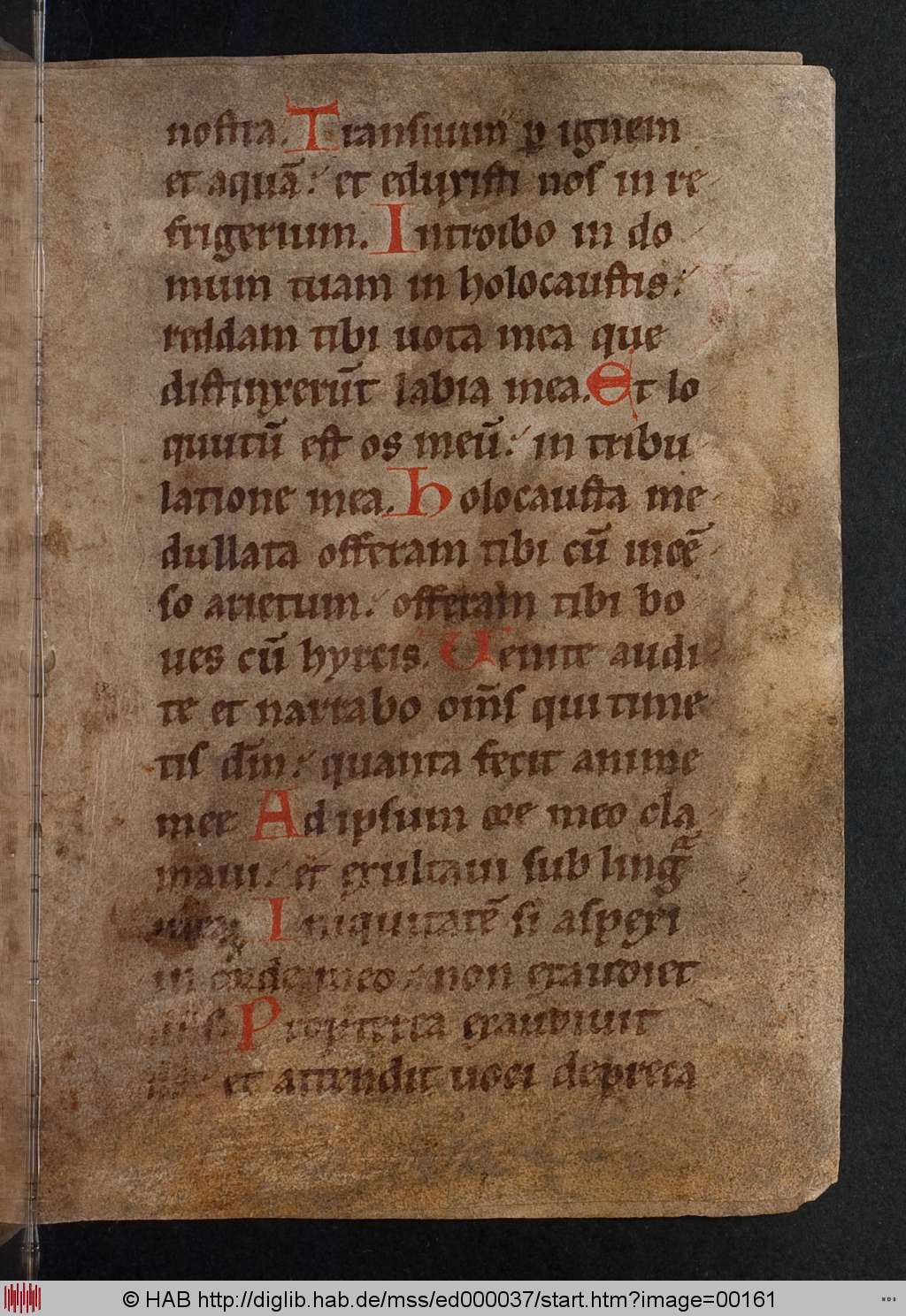 http://diglib.hab.de/mss/ed000037/00161.jpg