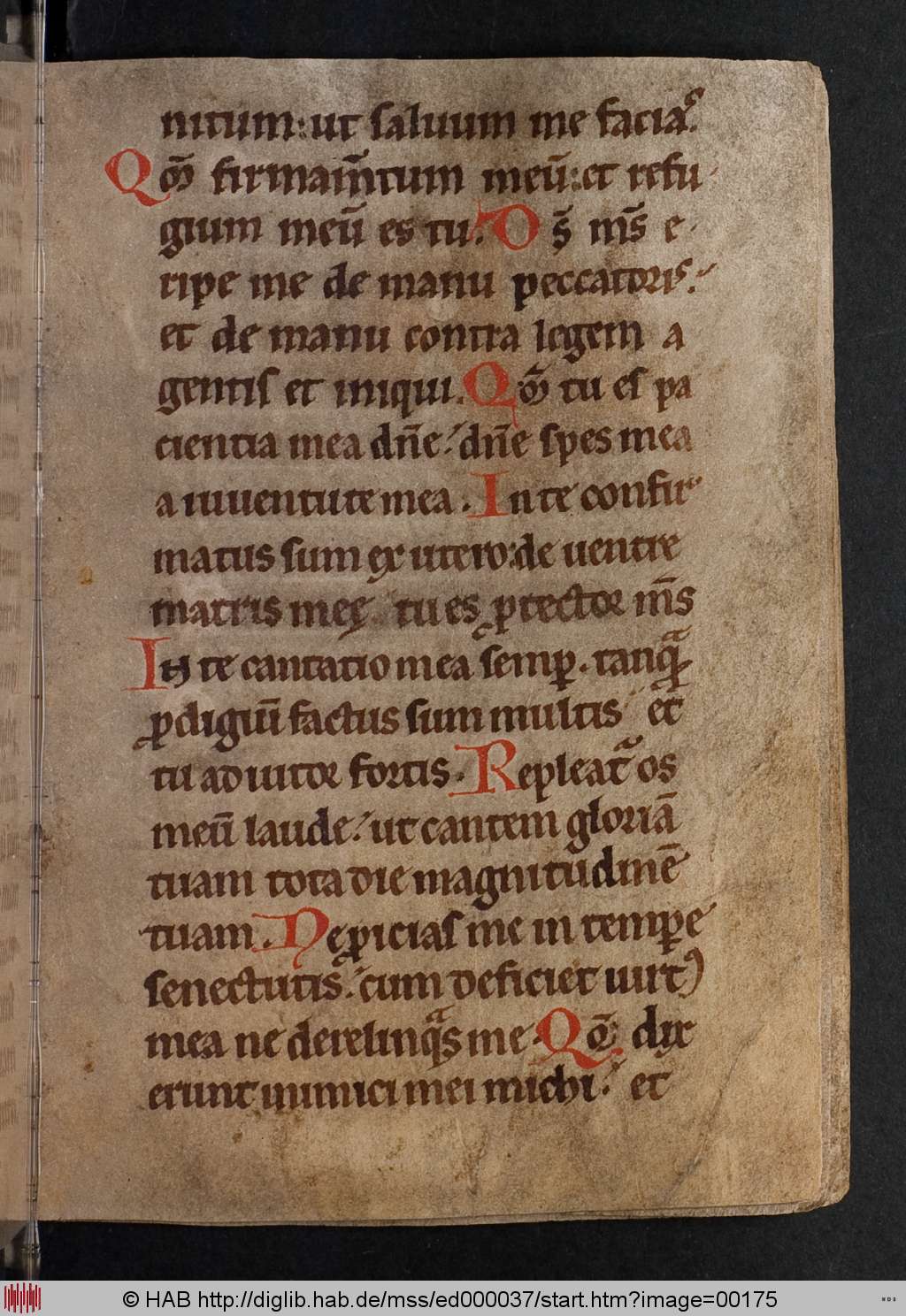 http://diglib.hab.de/mss/ed000037/00175.jpg