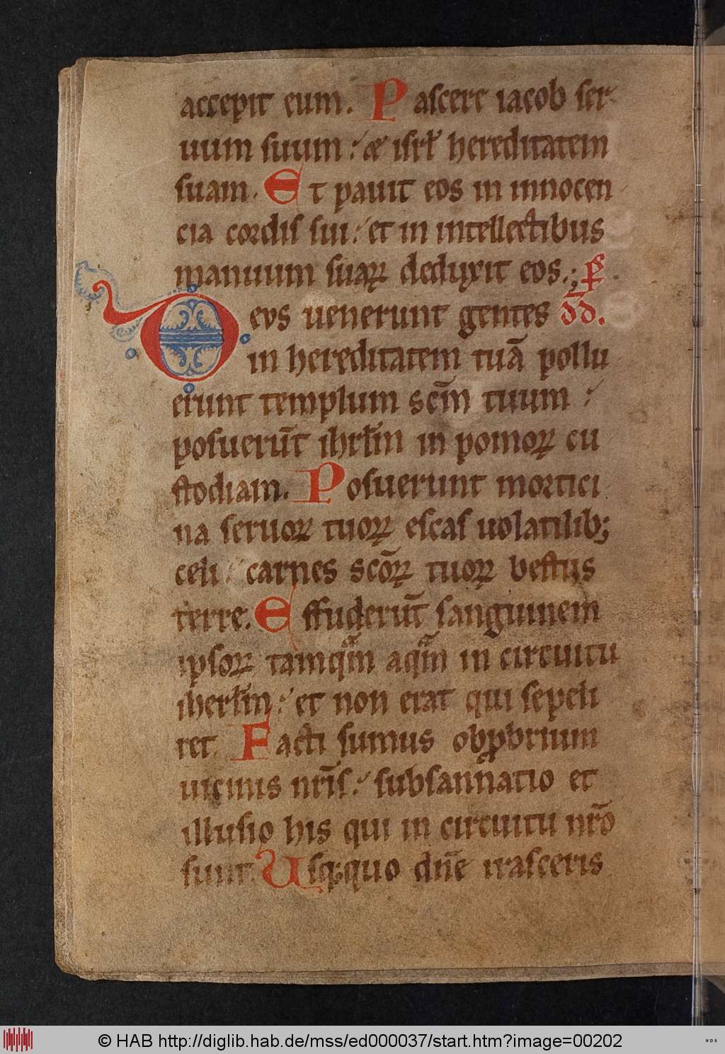 http://diglib.hab.de/mss/ed000037/00202.jpg