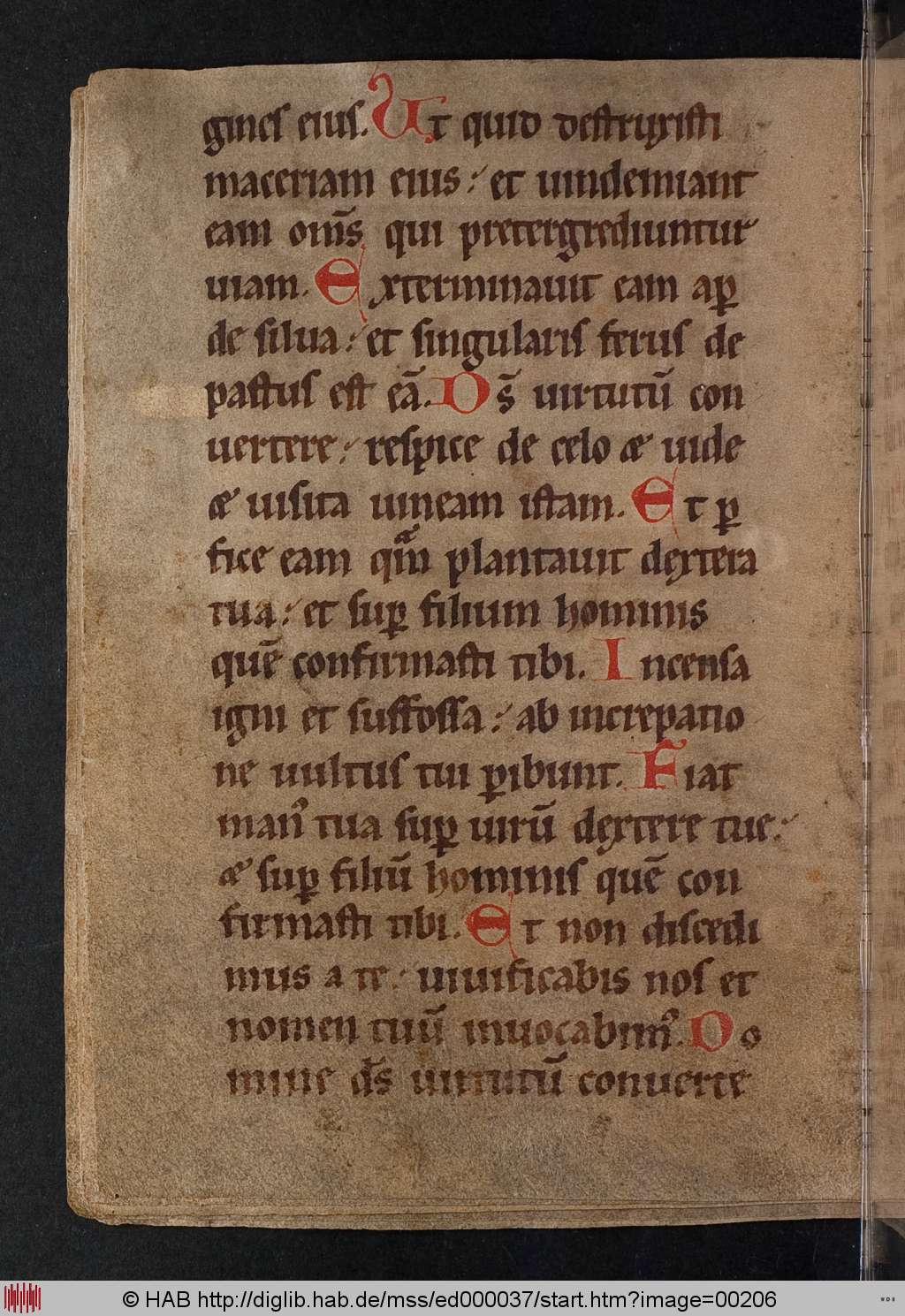 http://diglib.hab.de/mss/ed000037/00206.jpg