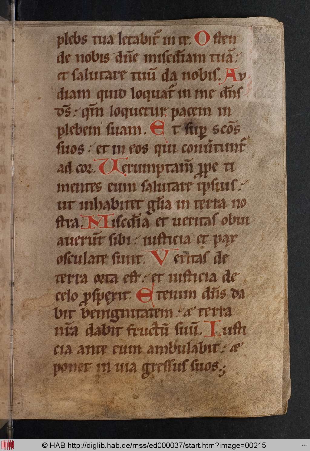 http://diglib.hab.de/mss/ed000037/00215.jpg