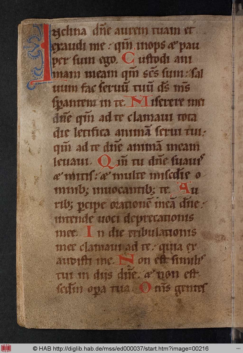 http://diglib.hab.de/mss/ed000037/00216.jpg