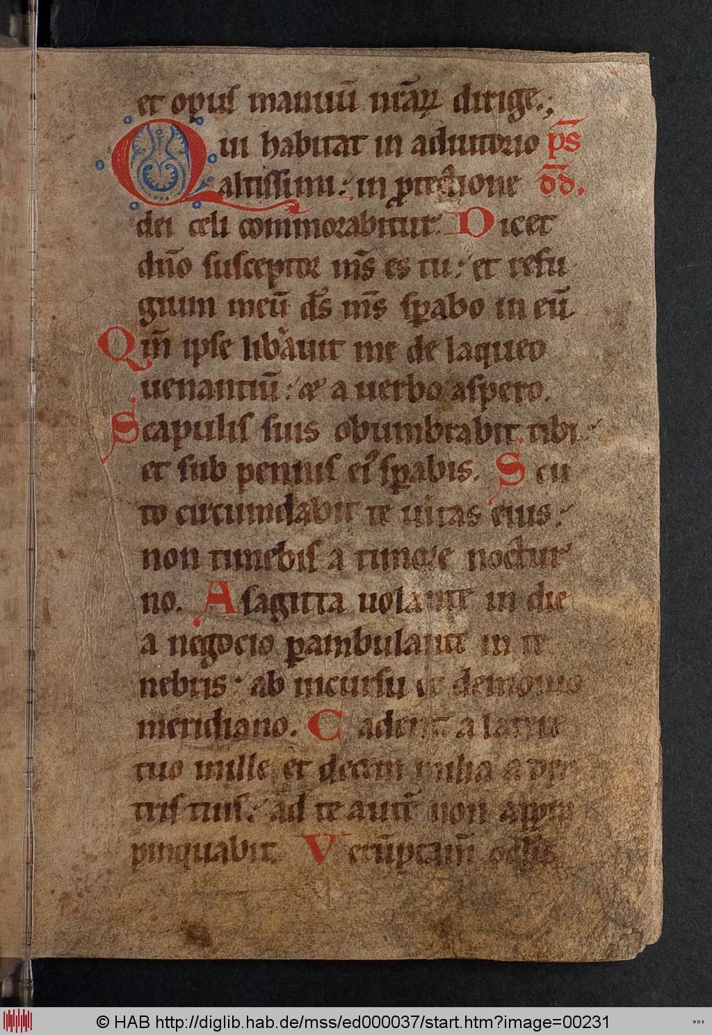 http://diglib.hab.de/mss/ed000037/00231.jpg