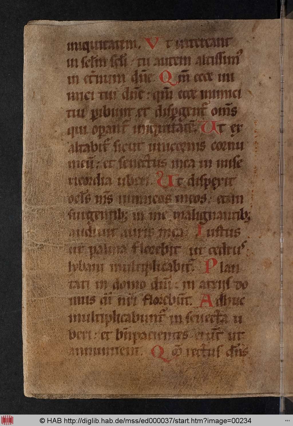 http://diglib.hab.de/mss/ed000037/00234.jpg