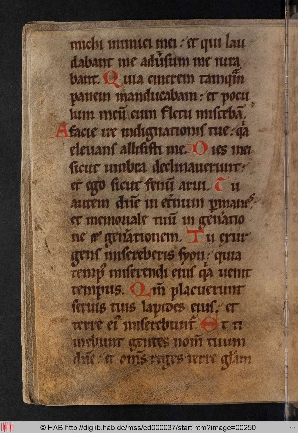 http://diglib.hab.de/mss/ed000037/00250.jpg