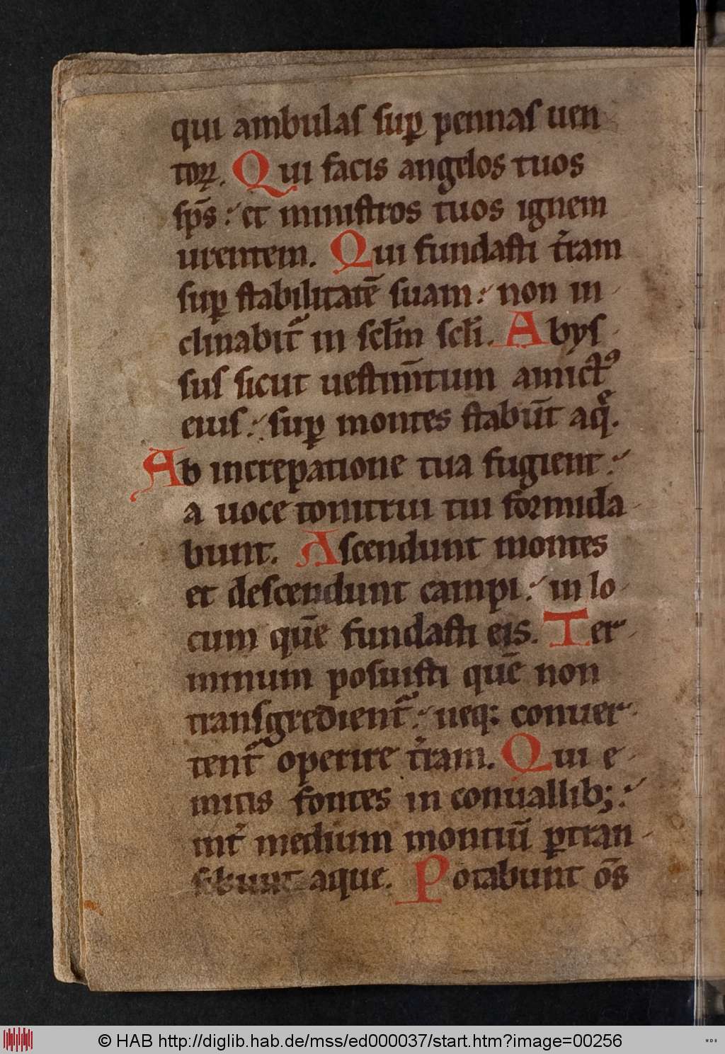 http://diglib.hab.de/mss/ed000037/00256.jpg