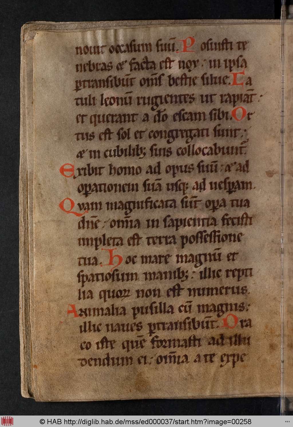 http://diglib.hab.de/mss/ed000037/00258.jpg