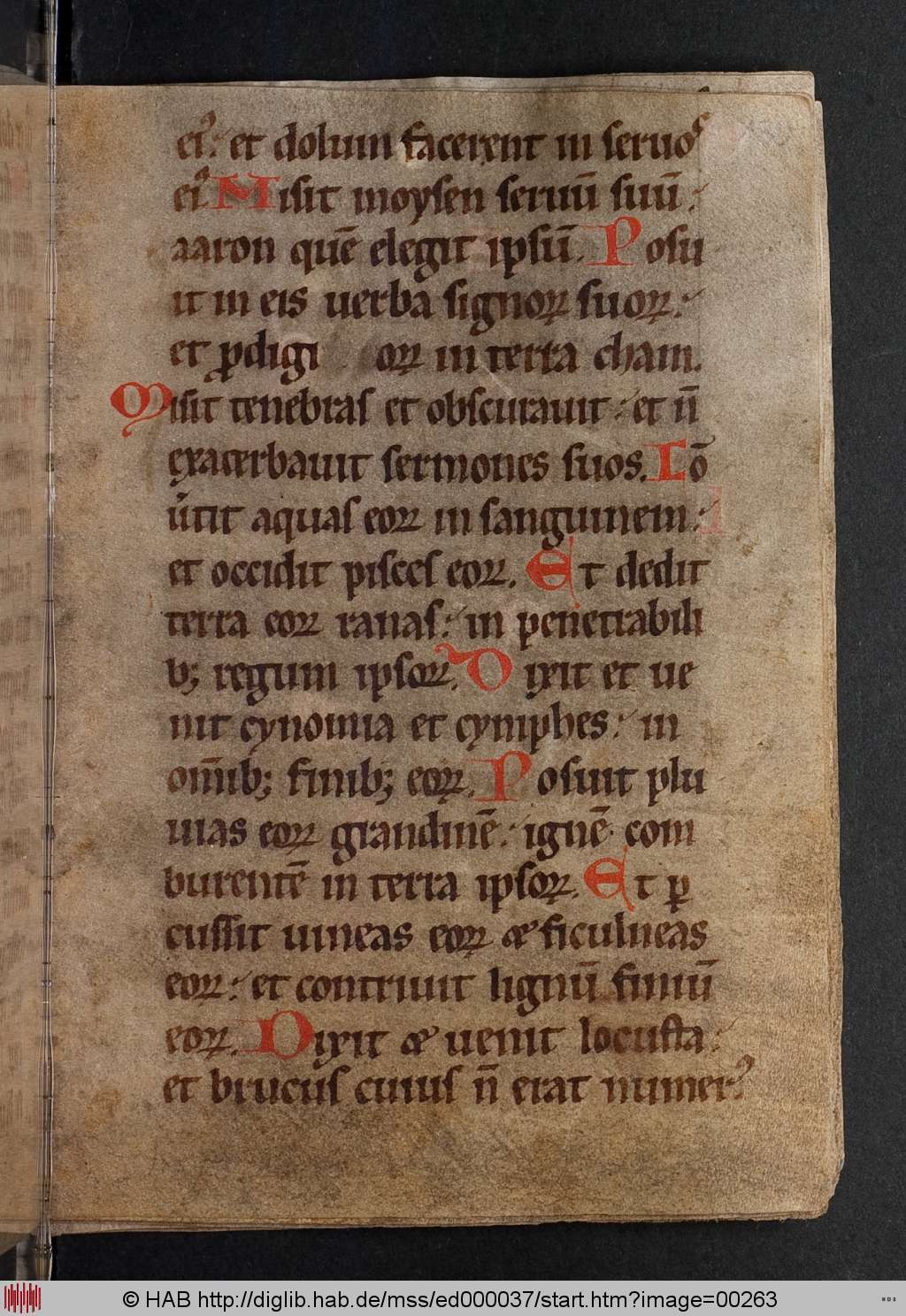 http://diglib.hab.de/mss/ed000037/00263.jpg