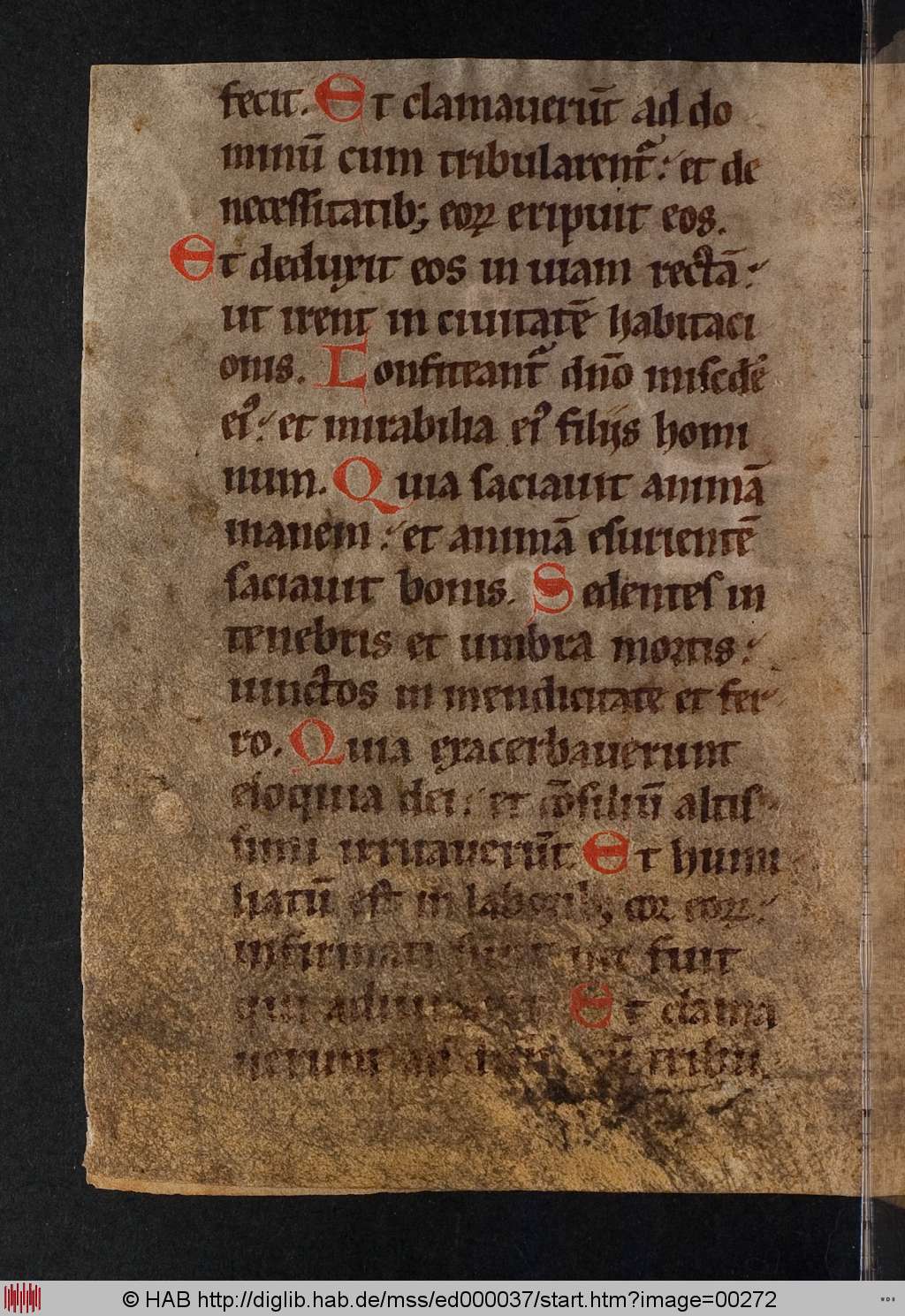 http://diglib.hab.de/mss/ed000037/00272.jpg