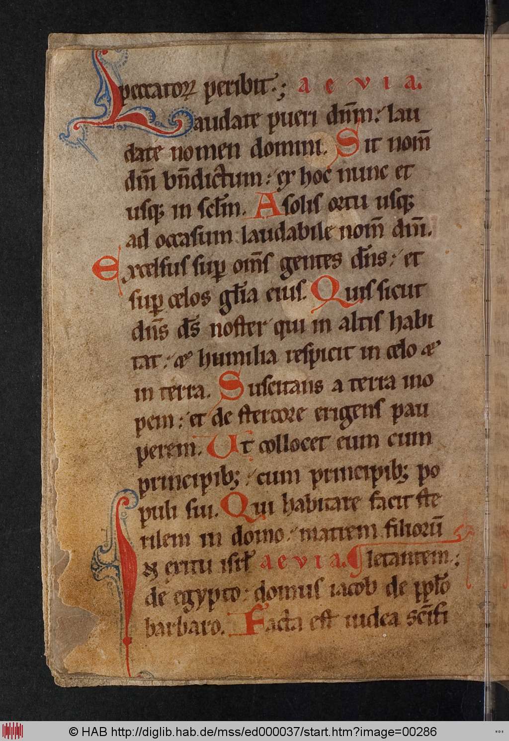 http://diglib.hab.de/mss/ed000037/00286.jpg