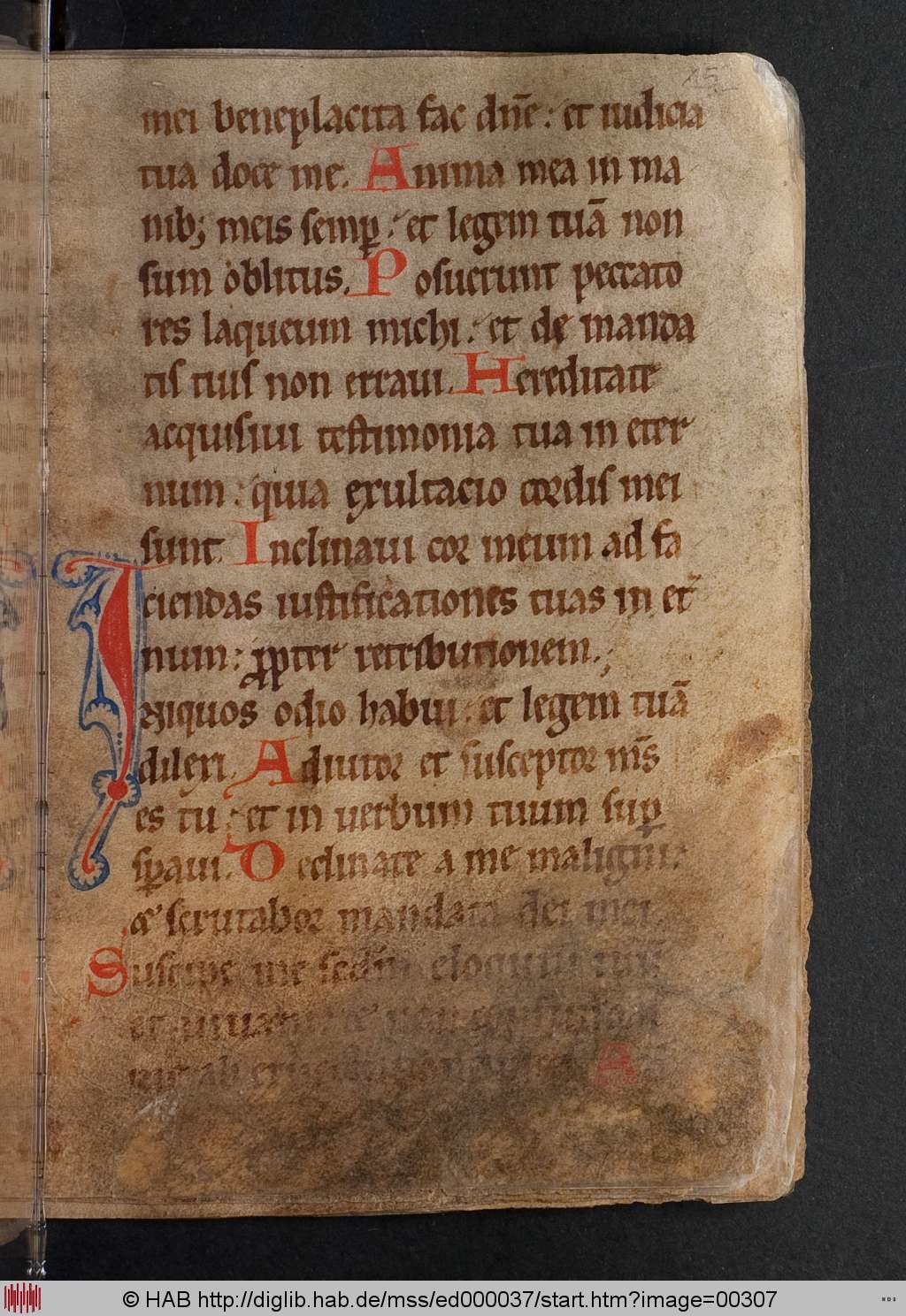 http://diglib.hab.de/mss/ed000037/00307.jpg