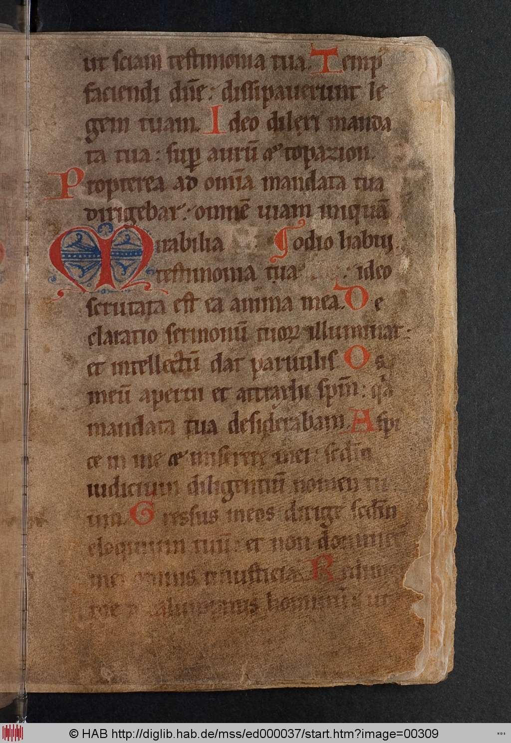 http://diglib.hab.de/mss/ed000037/00309.jpg