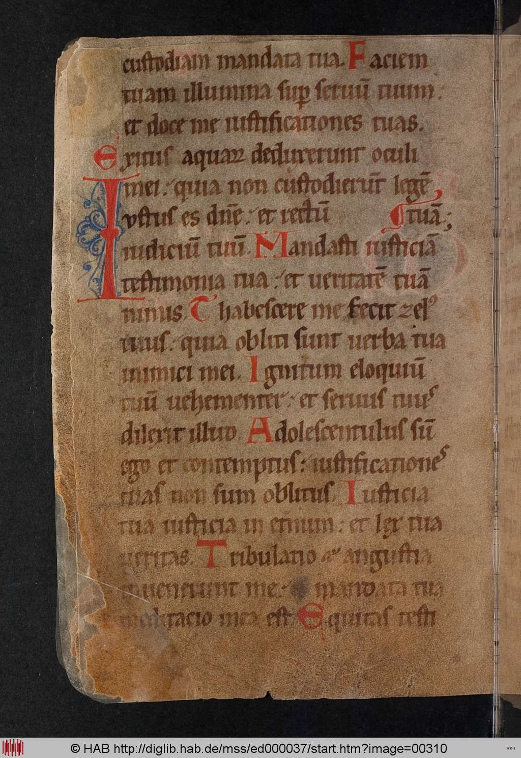 http://diglib.hab.de/mss/ed000037/00310.jpg