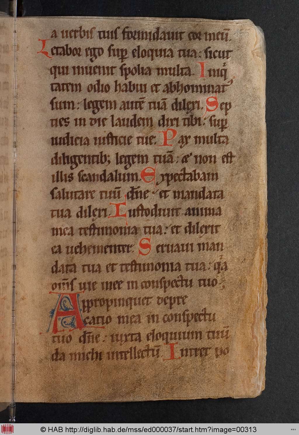 http://diglib.hab.de/mss/ed000037/00313.jpg