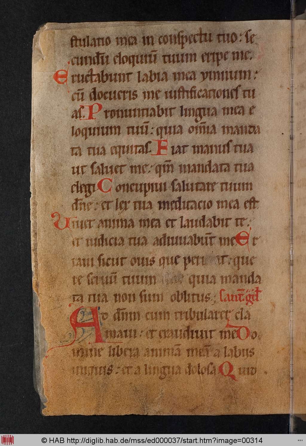 http://diglib.hab.de/mss/ed000037/00314.jpg