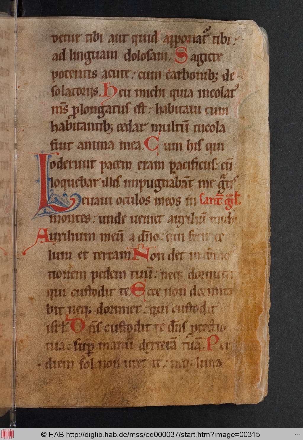 http://diglib.hab.de/mss/ed000037/00315.jpg