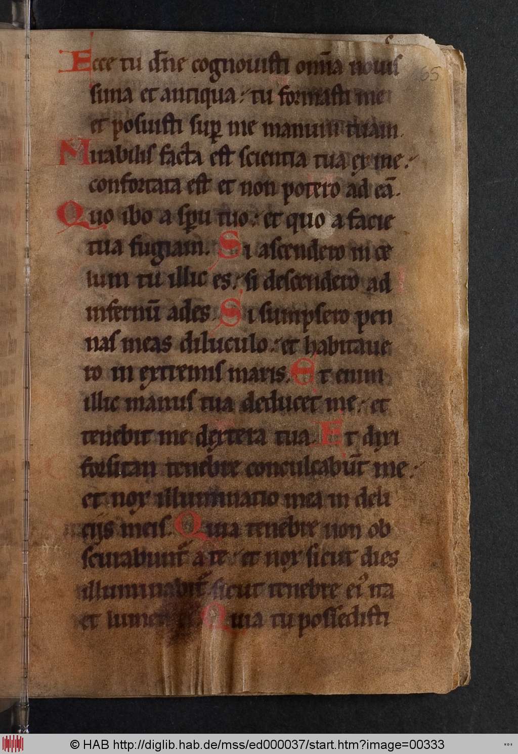 http://diglib.hab.de/mss/ed000037/00333.jpg