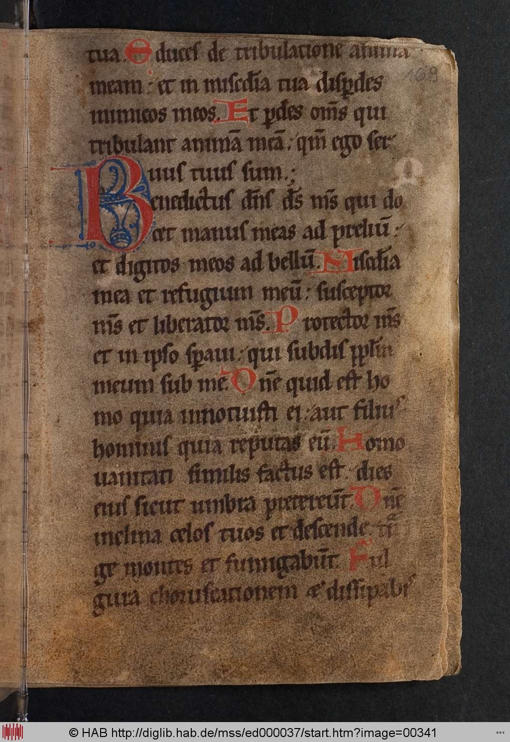 http://diglib.hab.de/mss/ed000037/00341.jpg