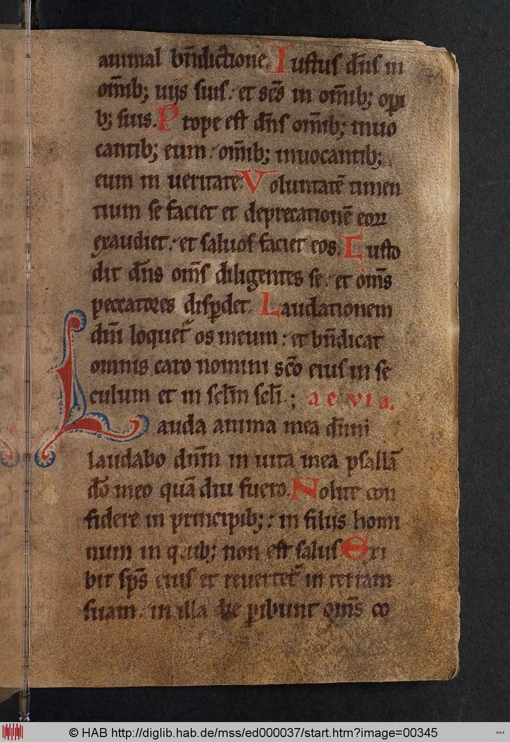 http://diglib.hab.de/mss/ed000037/00345.jpg