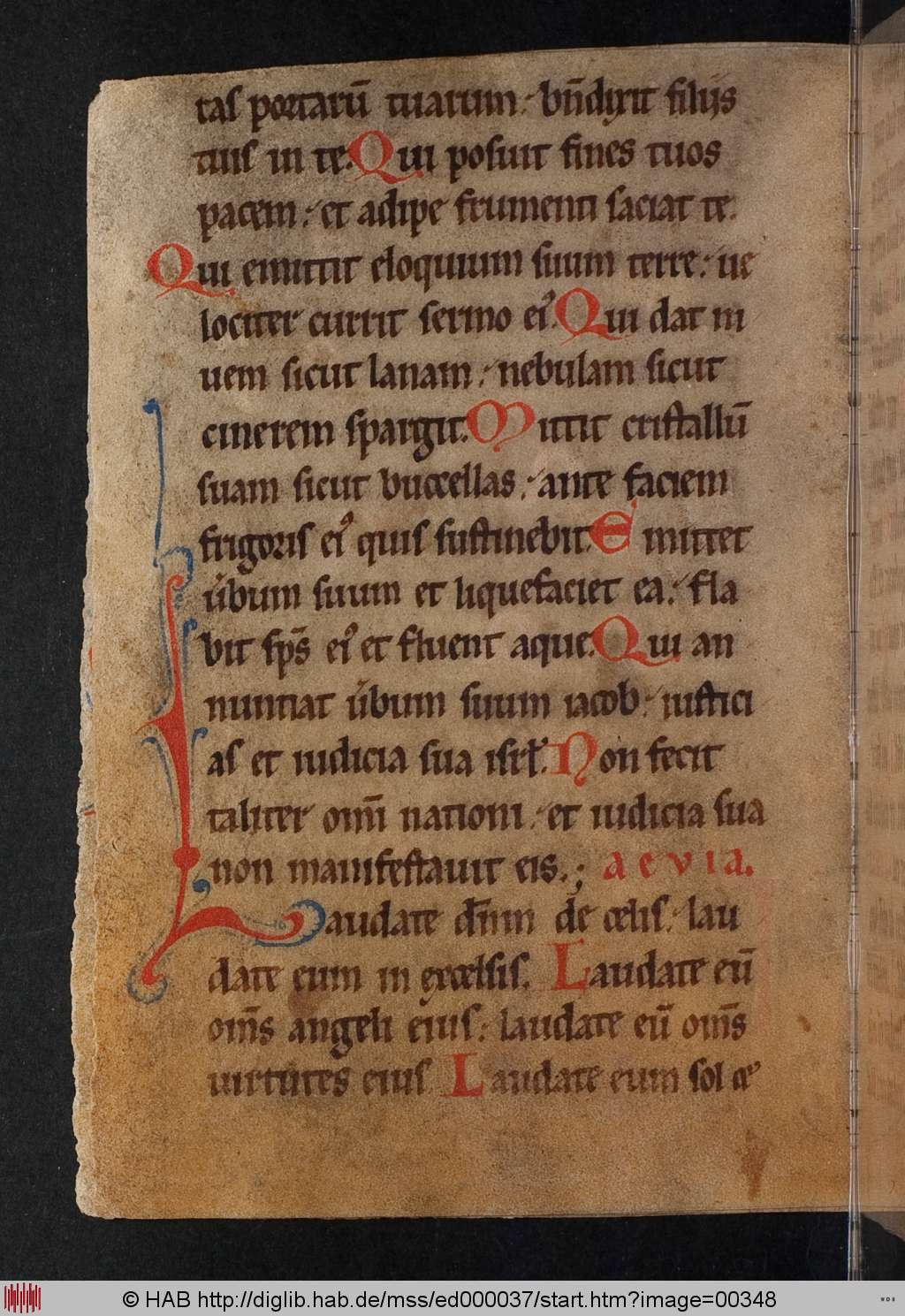 http://diglib.hab.de/mss/ed000037/00348.jpg