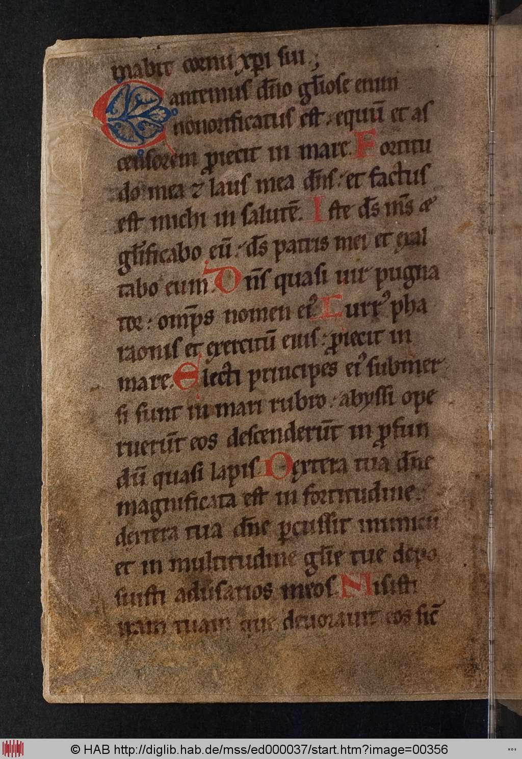 http://diglib.hab.de/mss/ed000037/00356.jpg