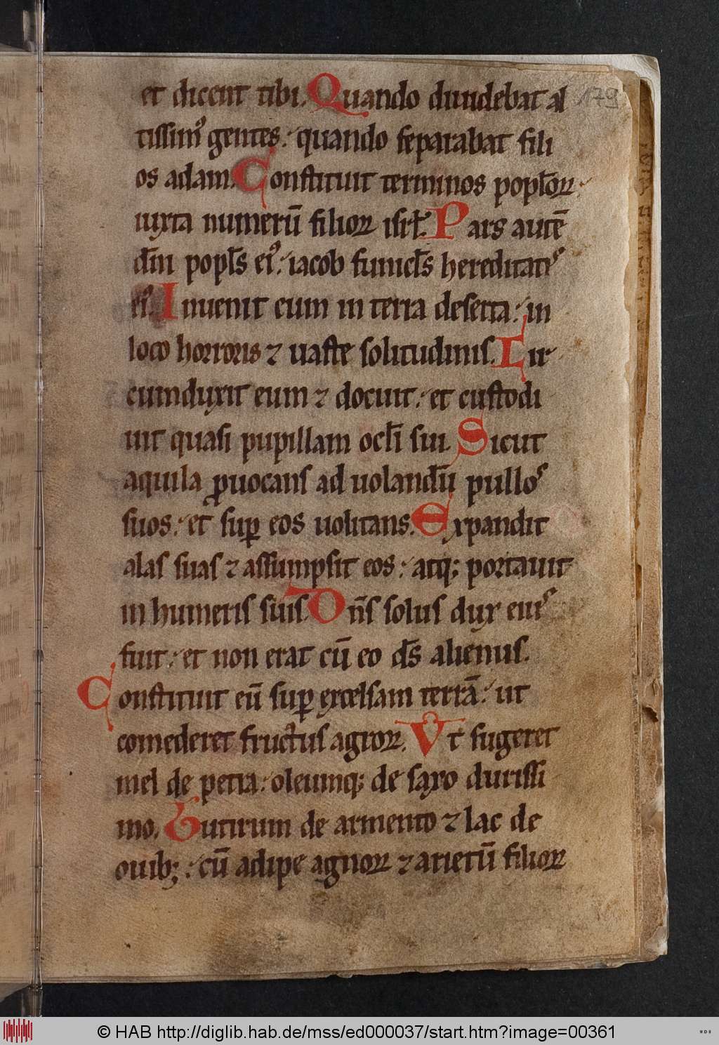 http://diglib.hab.de/mss/ed000037/00361.jpg