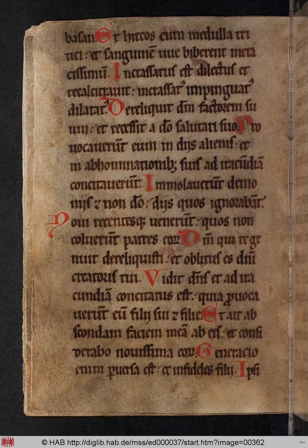 http://diglib.hab.de/mss/ed000037/00362.jpg