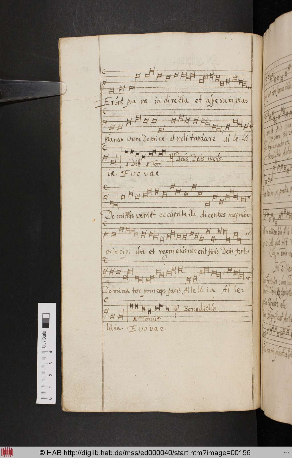 http://diglib.hab.de/mss/ed000040/00156.jpg