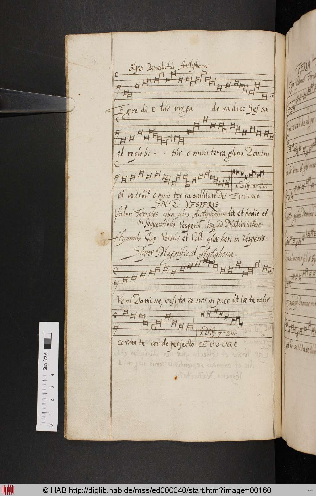 http://diglib.hab.de/mss/ed000040/00160.jpg
