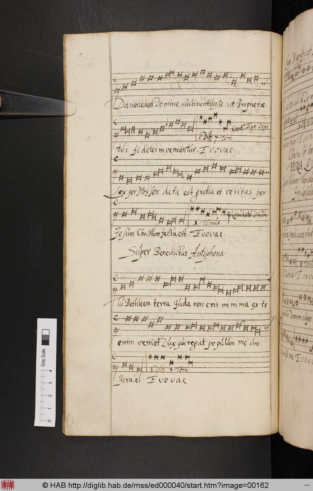 http://diglib.hab.de/mss/ed000040/00162.jpg