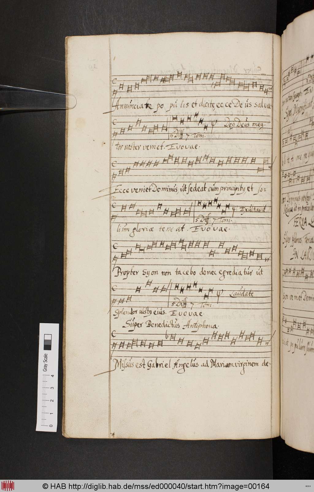 http://diglib.hab.de/mss/ed000040/00164.jpg