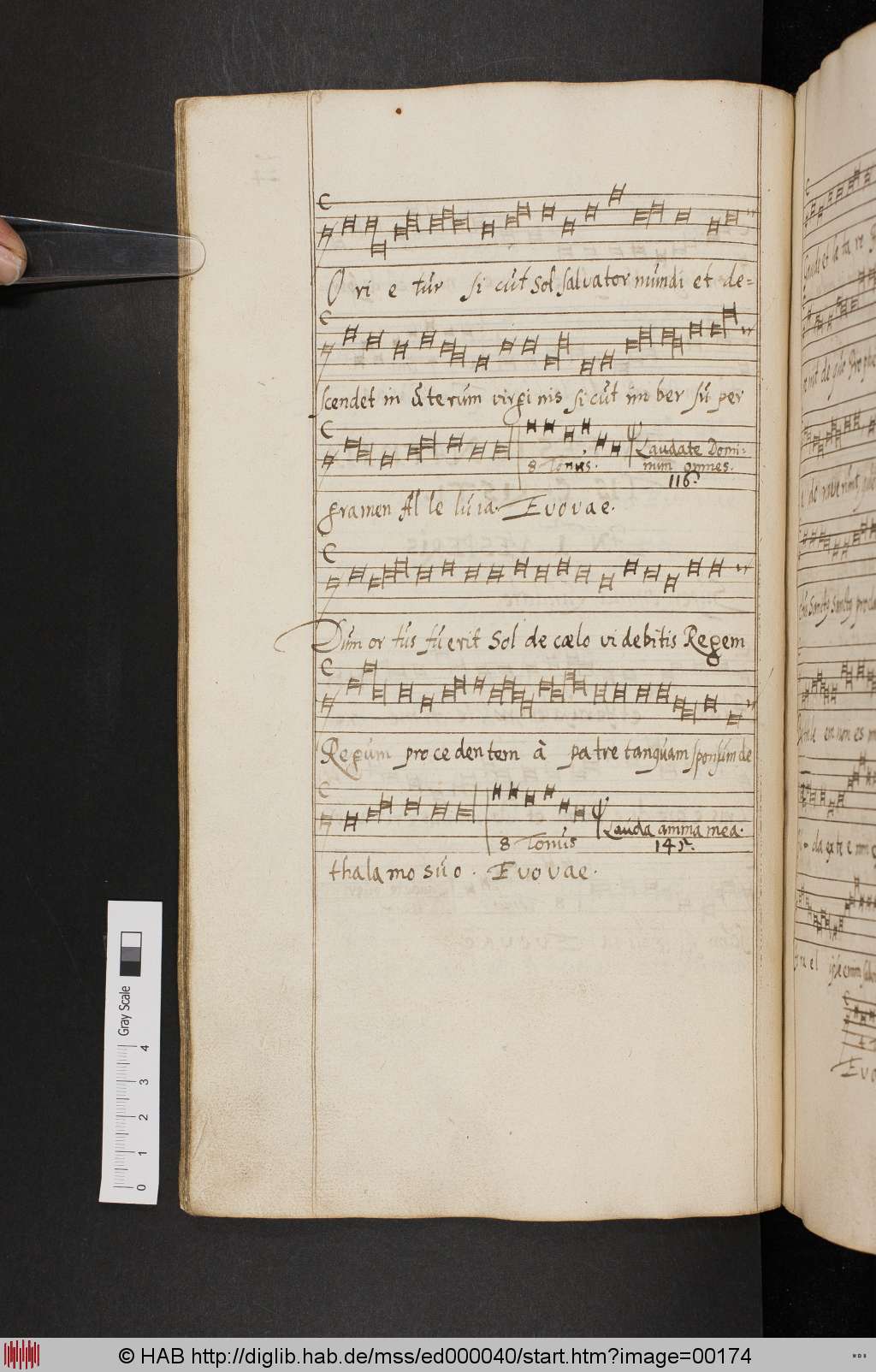 http://diglib.hab.de/mss/ed000040/00174.jpg