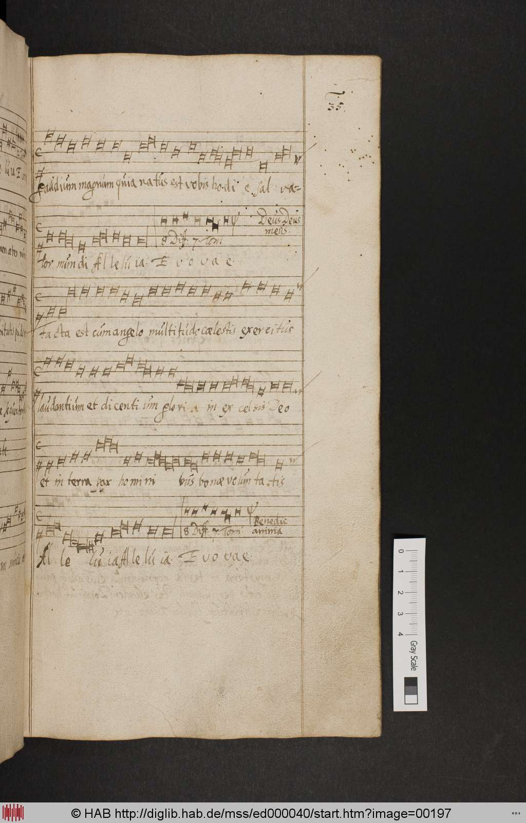 http://diglib.hab.de/mss/ed000040/00197.jpg