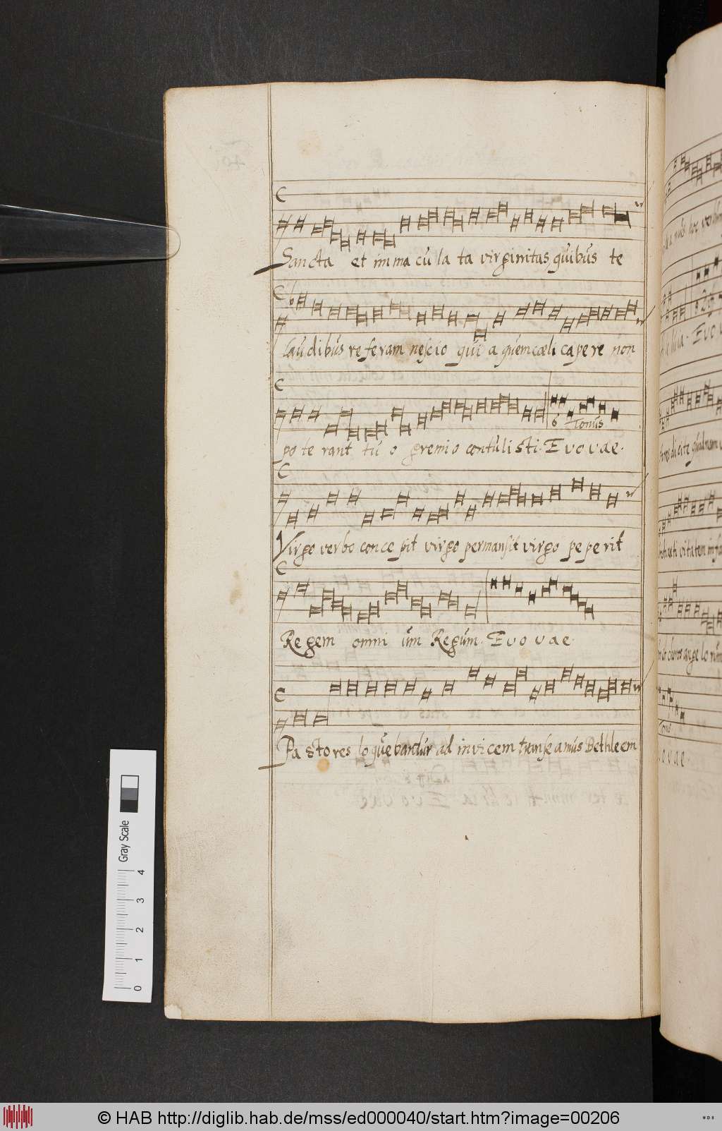 http://diglib.hab.de/mss/ed000040/00206.jpg