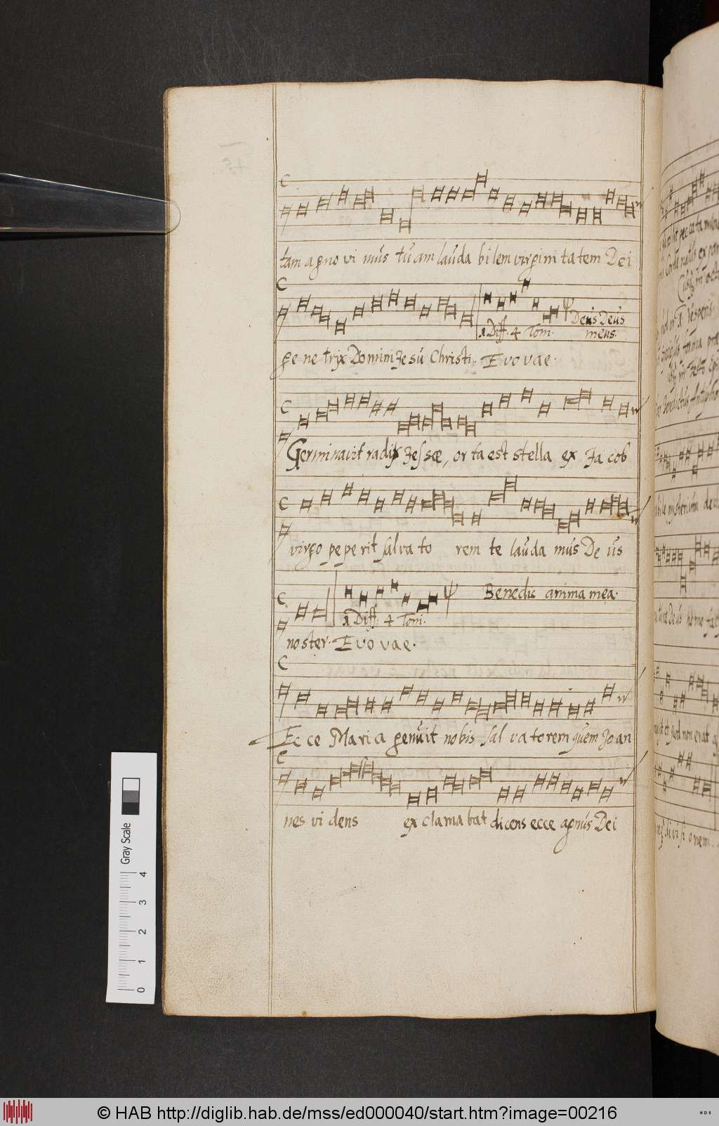 http://diglib.hab.de/mss/ed000040/00216.jpg