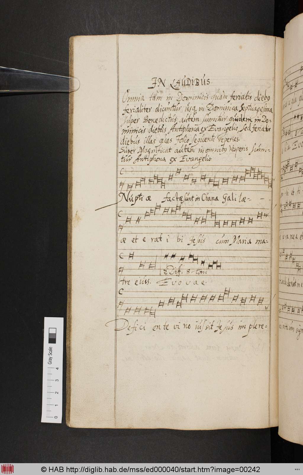 http://diglib.hab.de/mss/ed000040/00242.jpg