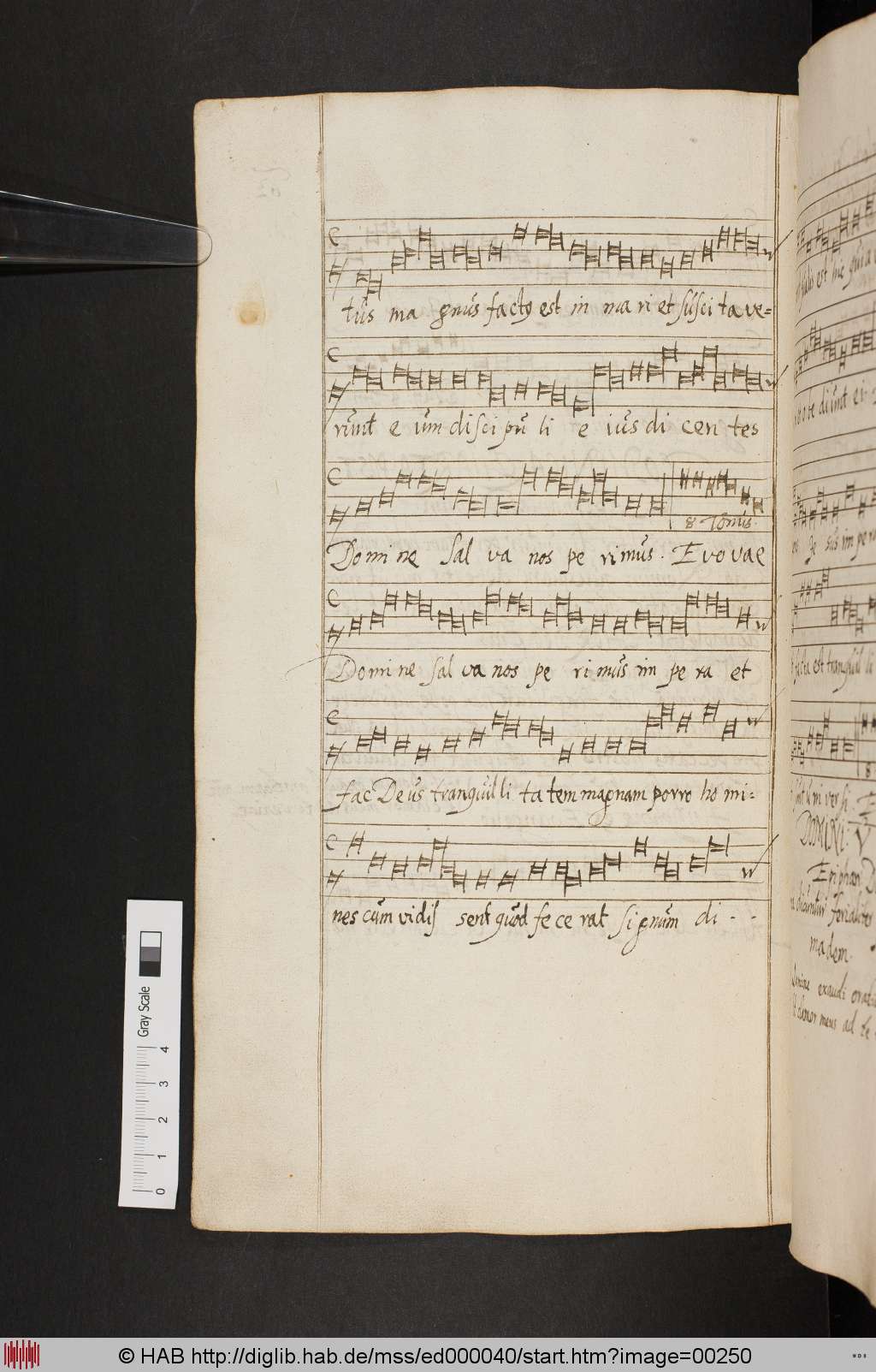 http://diglib.hab.de/mss/ed000040/00250.jpg
