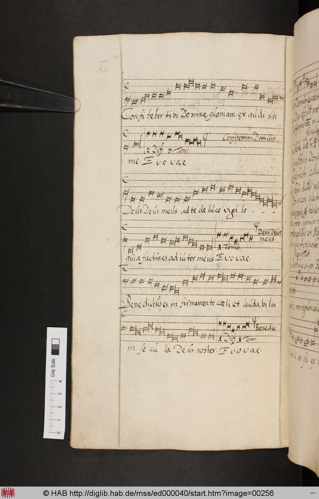http://diglib.hab.de/mss/ed000040/00256.jpg