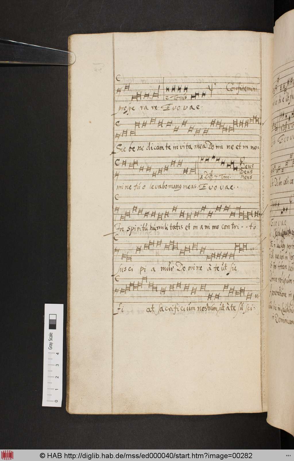 http://diglib.hab.de/mss/ed000040/00282.jpg