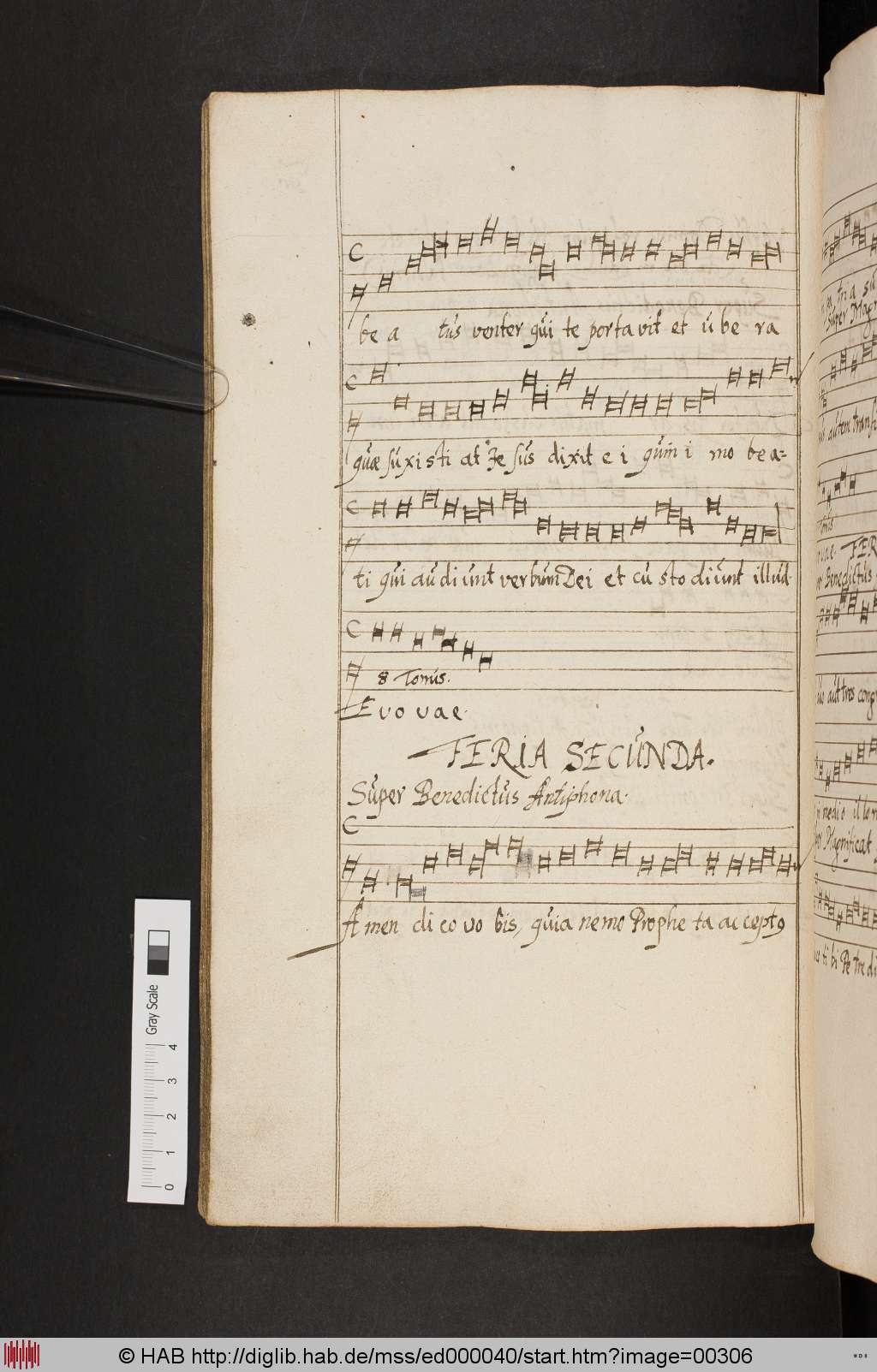 http://diglib.hab.de/mss/ed000040/00306.jpg