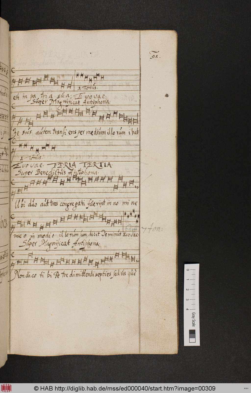 http://diglib.hab.de/mss/ed000040/00309.jpg